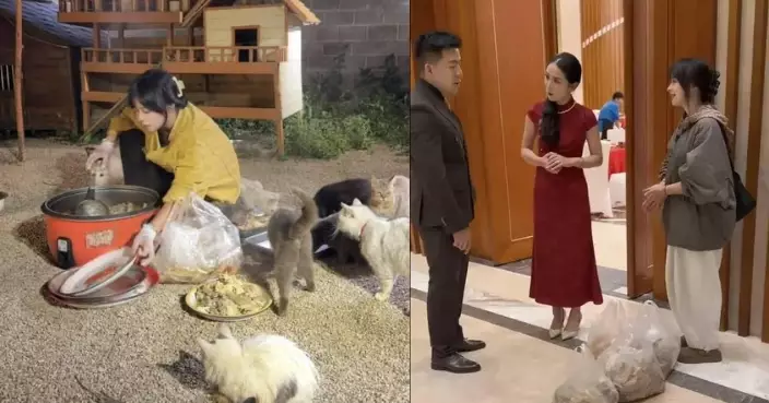 救助120隻流浪貓經濟壓力大 雲南女攜利市蹭婚宴打包剩菜餵食引熱議