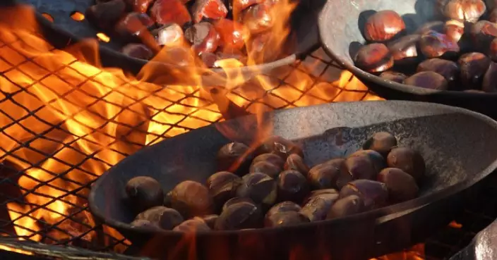 秋冬食栗子助養腎強骨暖身 惟專家建議：每日不宜超過10顆