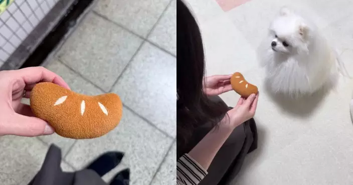 誤帶愛犬心愛玩具返工 日OL想「早退回家」獲全網力挺：最合理理由