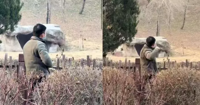 瀋陽動物園驚現男子持彈弓射擊 東北虎嚇到彈起 園方：正核實中