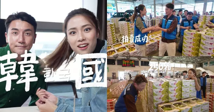 空運世一｜第一站韓國！劉穎鏇首體驗水果拍賣用130蚊港紙投得250箱提子？！