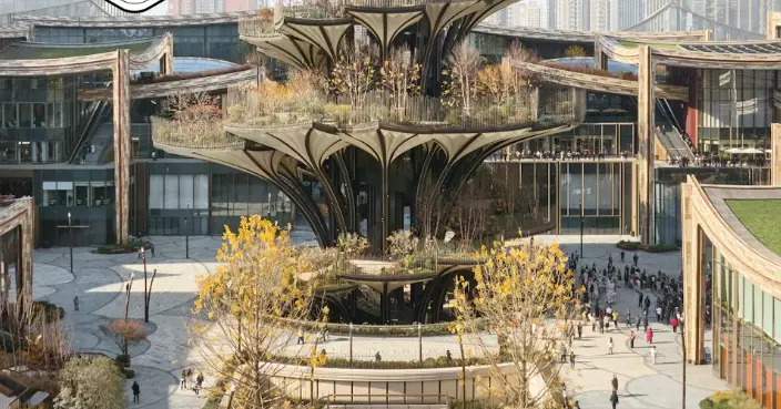 英建築師在西安種出「巨樹」地標　古都夜光花園變全球熱話