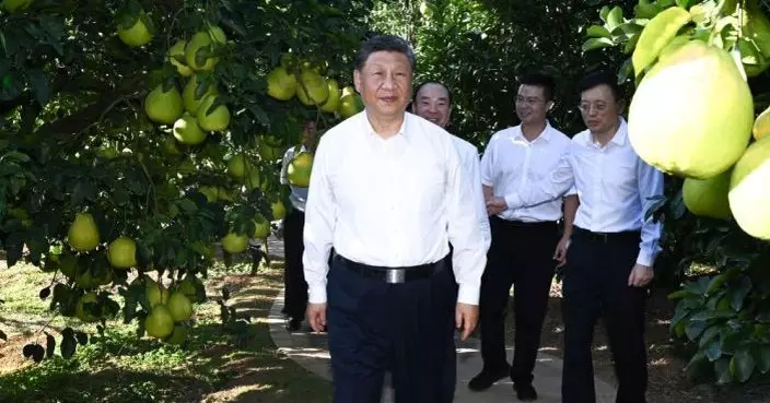 習近平考察廣東　強調深入學習宣傳黨的二十屆四中全會精神推動粵港澳大灣區建設