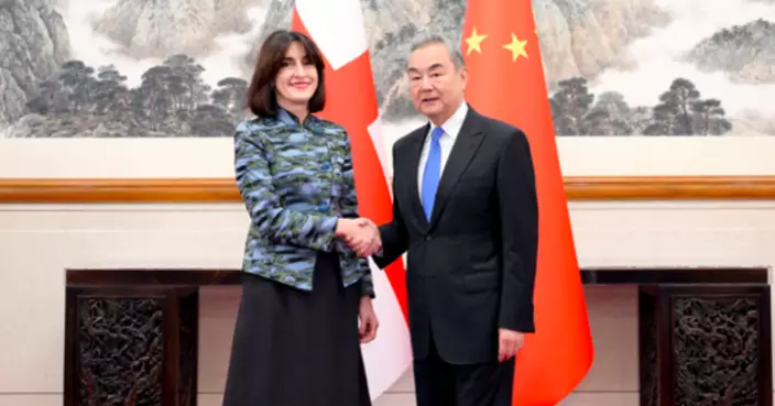 王毅與格魯吉亞外長會晤　推動中格關係實現更大發展