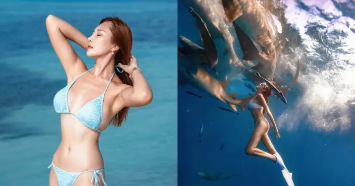 梁允瑜馬爾代夫水著大放送 潛水與群鯊共舞優美又震撼