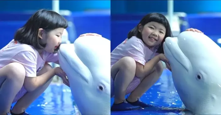 李璨琛老婆帶大女快閃三亞 李元元親親小白鯨畫面勁有愛