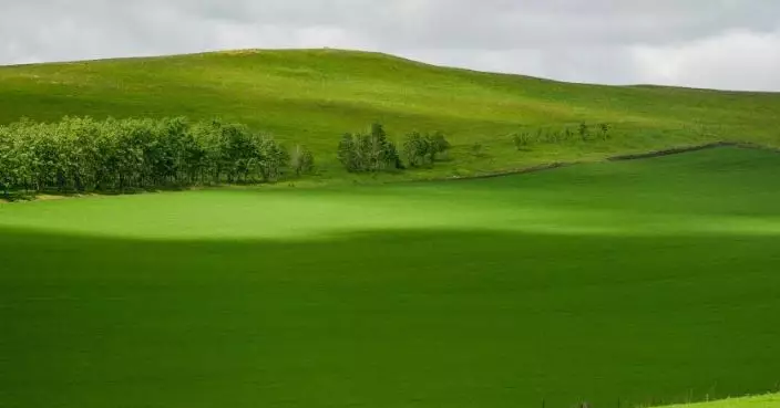《森林草原防滅火條例》元旦實施