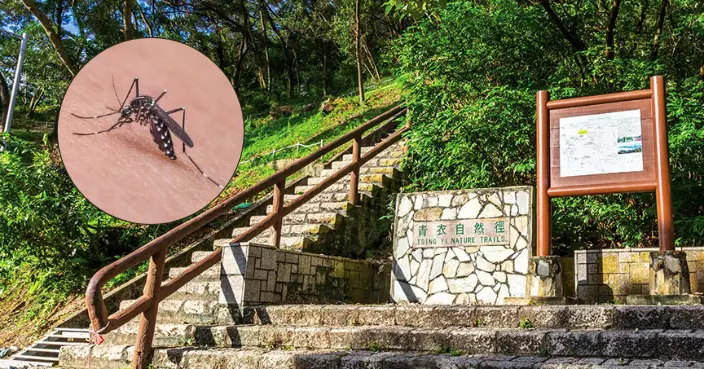 基孔肯雅熱｜兩患者基因序列相同改列本地感染 曾先後到青衣自然徑附近