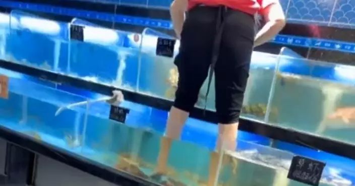赤腳女踩入活蝦缸清潔影片曝光惹議 三亞超市海鮮全下架