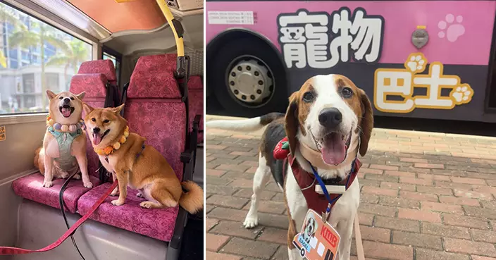 九巴寵物巴士增設上水粉嶺黃埔愉景灣新路線 月票無限乘搭更划算