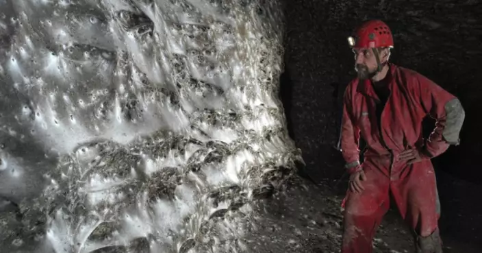 現實版「盤絲洞」現身歐洲！11萬隻蜘蛛在硫磺洞穴築巨網