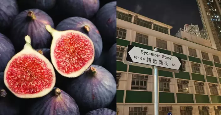 「詩歌舞街」譯名封神！直譯「寓意不祥」巧妙轉化獲激讚：風雅絕響