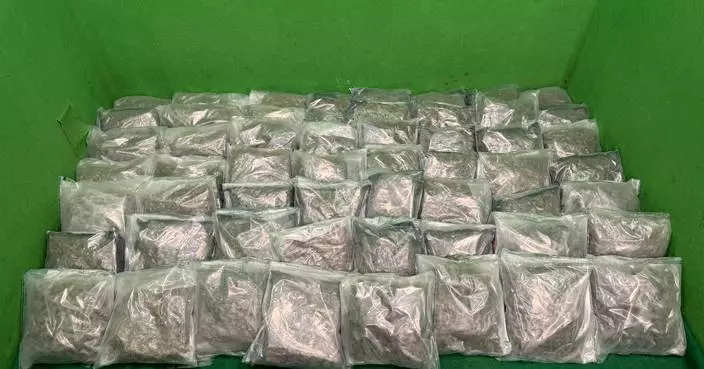 泰國抵港19歲女子行李藏約28公斤懷疑大麻花被捕