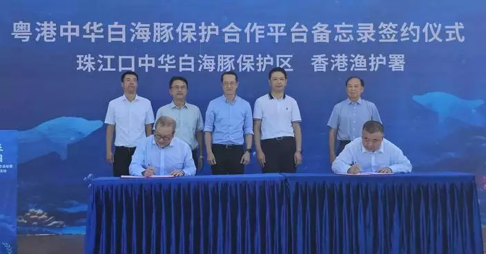 協同生態監測研究 漁護署與廣東省部門簽中華白海豚保護備忘錄