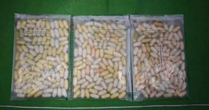 吉隆坡抵港男毛絨玩具藏5.8公斤可卡因被捕 周一西九法院提堂