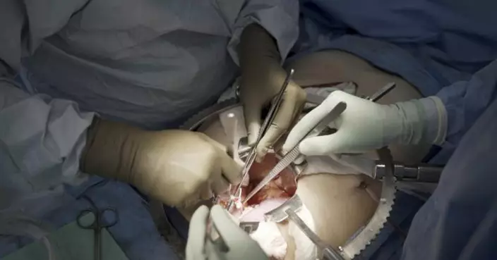 破解器官短缺難題！全球首場「豬腎移植」人體臨床試驗在美啟動