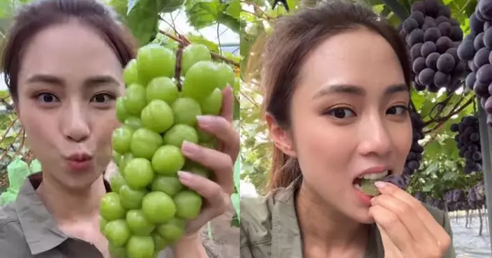 劉穎鏇果園摘提子 可愛表情冧爆網民