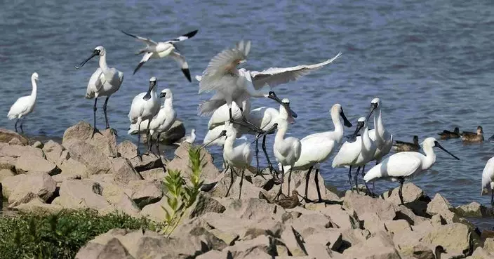 生態區12月生態活動接受報名