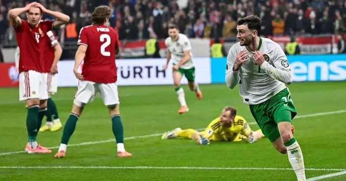 世界盃歐洲區外圍賽　愛爾蘭反勝匈牙利搶走附加賽資格