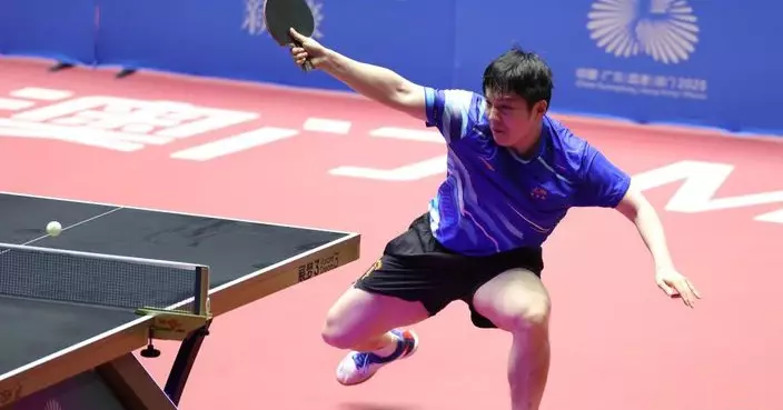 全運會｜乒乓男單八強上海代表樊振東擊敗浙江孫正　晉級準決賽