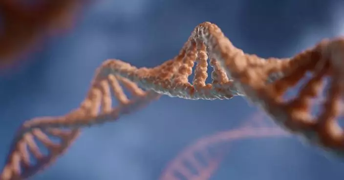 膽固醇藥將被淘汰？CRISPR一針降膽固醇50% 美研究：有望終結終生服藥