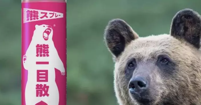 熊襲頻傳催生自衛神器！日企推國產驅熊噴霧   官網開賣即缺貨