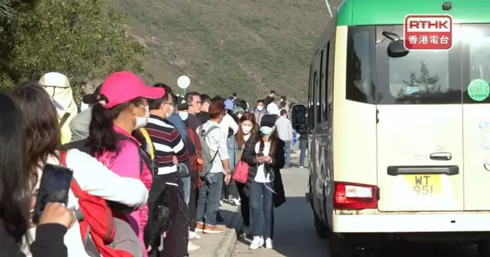 回應排隊人士不滿小巴被包車　運輸署：營辦商須清晰標示租賃服務