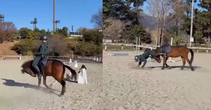 有片！日男騎馬遭向前甩落 急中生智雙手撐地「同步行走」瞬變「6腳馬」