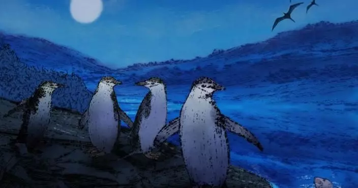 動物極限補眠術曝光  4秒微睡、半腦飛行、深海「睡眠螺旋」顛覆想像