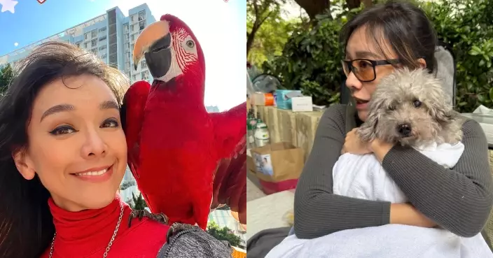 宏福苑大火寵物同受難 郭秀雲現場抱緊獲救貴婦狗