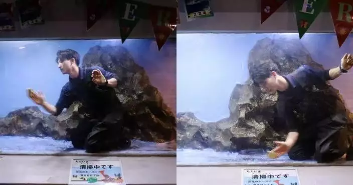 另類宣傳出位！日本水族館曬型男飼育員擦玻璃照 全網跪求出勤時間表！