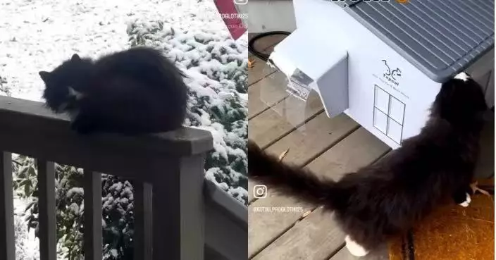 雪天不忍流浪貓窩居街頭 善心女送「豪華暖氣屋」助溫暖度過寒冬