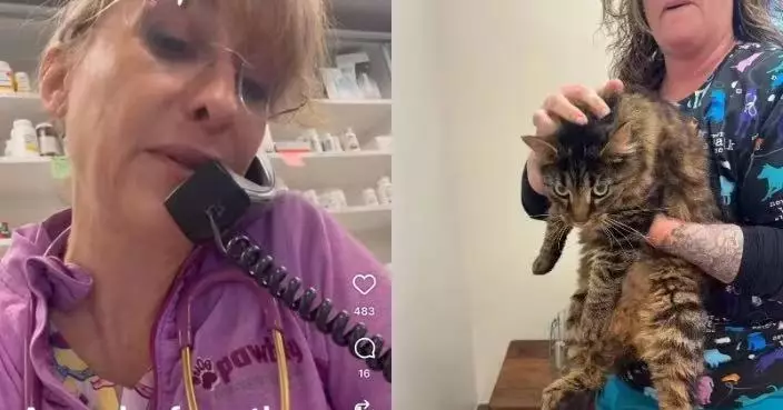 愛貓走失多年奇蹟被尋回 美飼主得知幸福現況含淚放手