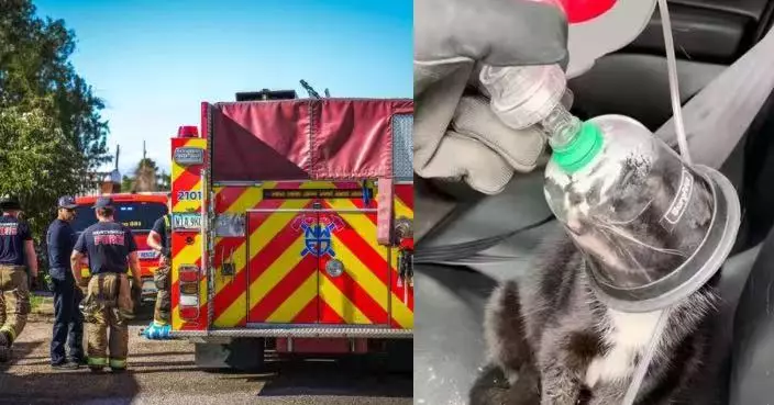 火場救出2倖存小貓 美消防員以專用氧氣罩搶救生命助脫險