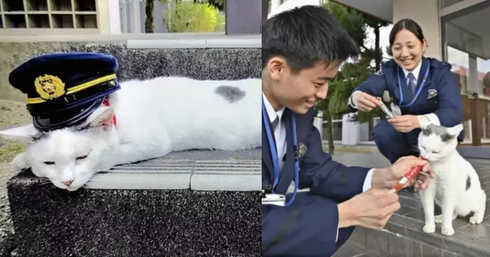 日本岡山警校「貓警視」爆紅 流浪貓逆襲升職巡校更成師生心靈支柱