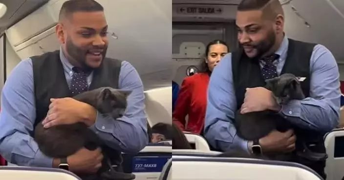 貓仔搭西南航空逃出籠子亂闖機艙 空服員無奈抱住做安全示範