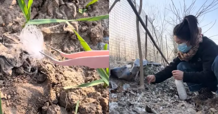 疑市售羽絨成分不足 江蘇女返村撿鵝絨親縫製羽絨外套環保又保暖