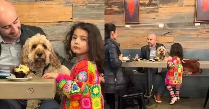 自來熟貴賓犬外出用餐趴鄰桌食客大腿享撫摸 飼主淪「陌生人」勁無奈