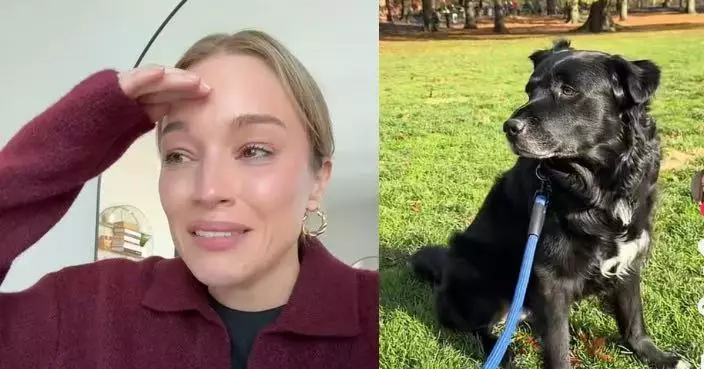 首當流浪犬寄養家庭 美國女被9歲混種犬俘虜芳心終決定收養