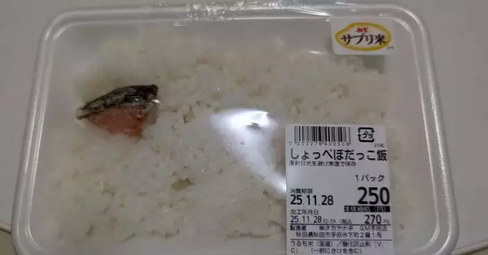 配菜得拇指大三文魚塊 日人親體驗秋田知名便當驚覺：唔夠飯？