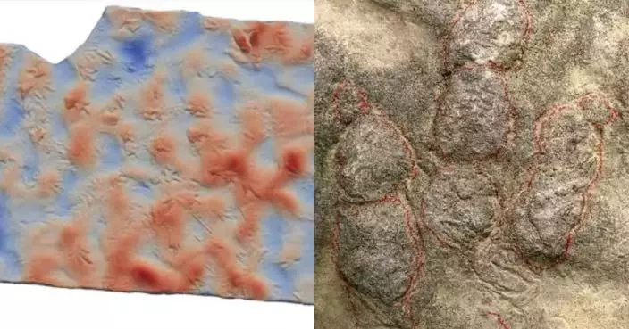 被當墊腳石19年始被發現 川侏羅紀恐龍足跡化石揭早期獸腳類恐龍行為奧秘