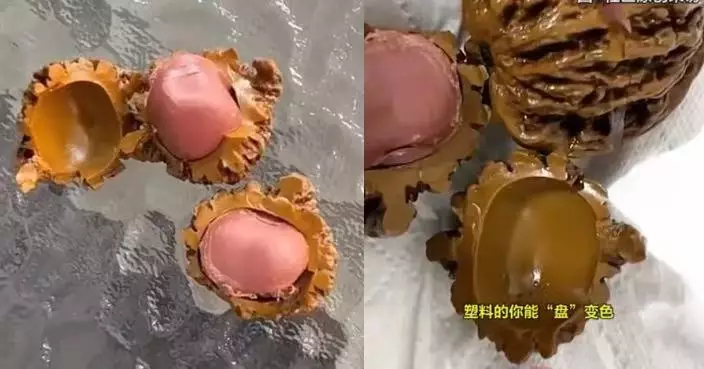 塑膠也能盤變色？河北男把玩4年文玩核桃剖開竟是塑膠製品