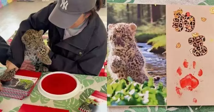 山西動物園推初生動物寶寶日曆  金錢豹BB被迫蓋爪印送祝福「無奈表情」成焦點