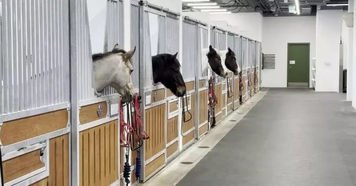 牛潭尾堆肥廠設備超出使用壽命 環保署研更現代化方式處理馬廄廢物