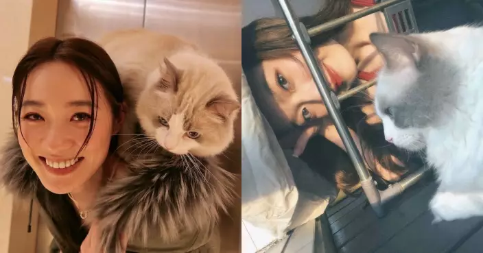 蔡潔工作繁忙冷落「豬仔」遭「報復」 唔嬲愛貓：淨係想攬住佢瞓覺