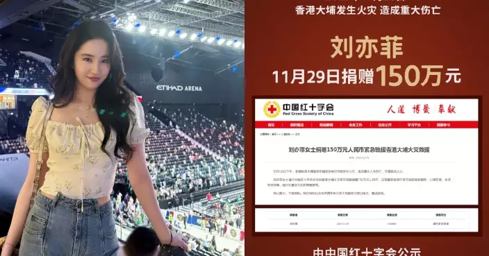 劉亦菲捐150萬人民幣救災 善款用作安置及重建