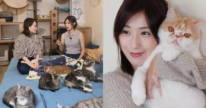 王頌茵公開被貓主子「御用」日常  愛貓「奶醬多」識聽廣東話兼做「公關」