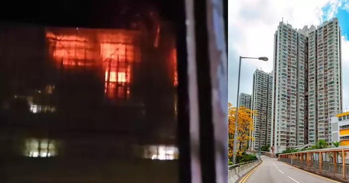 峰華邨及富澤花園維修棚網檢測疑涉虛假文書 警方重案組跟進調查