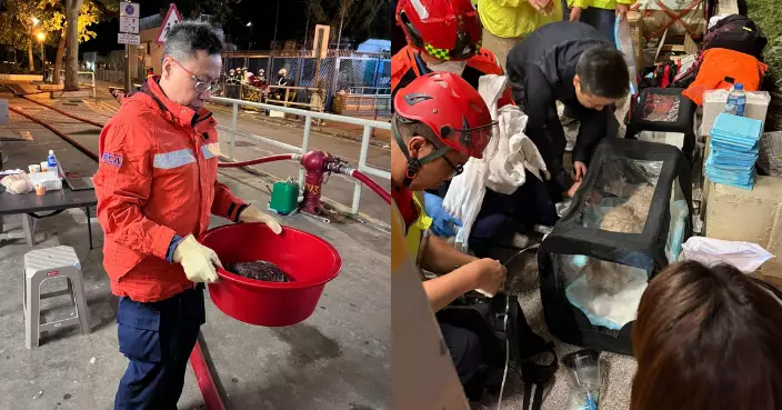 大埔五級火｜愛護動物協會尋獲364隻動物當中70隻離世 另有173隻下落不明