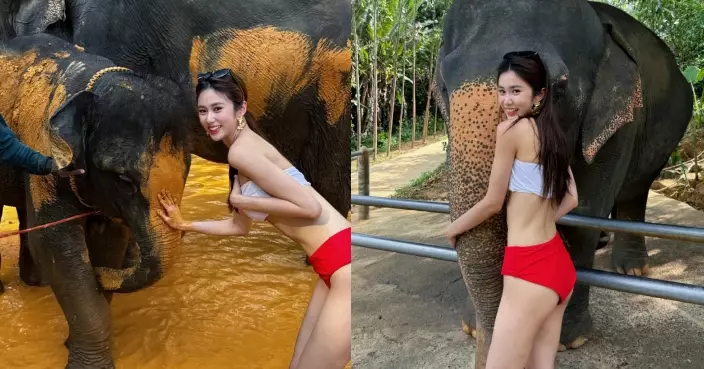 楊梓瑤飛布吉旅行大解放 比堅尼上陣體驗幫大象沖涼